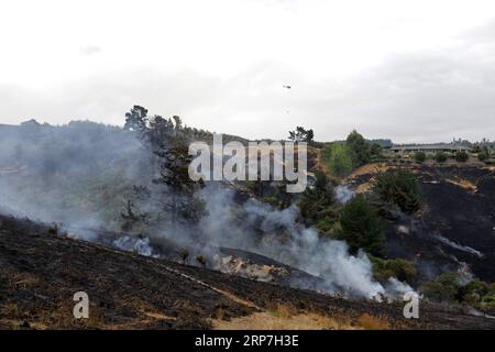 (190207) -- WELLINGTON, 7 février 2019 (Xinhua) -- une photo prise le 6 février 2019 montre un incendie de brousse à Nelson de l'île du Sud, en Nouvelle-Zélande. Un incendie de brousse a éclaté mardi dans la région de Tasman de l île du Sud et a provoqué l évacuation de 235 propriétés. Environ 400 personnes ont été évacuées de leurs maisons alors que le feu atteignait 1 874 hectares en 13 heures, selon les autorités locales. L'incendie, le pire à avoir frappé la région depuis les années 1980, prendra probablement plusieurs jours ou plus avant d'être arrêté, a déclaré Richard Kempthorne, maire du district de Tasman, aux médias. (Xinhua/Tim Cuff) NOUVELLE-ZÉLANDE-SOUTH ISLAND-BUSH Banque D'Images