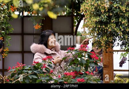 (190210) -- BEIJING, 10 février 2019 (Xinhua) -- les gens visitent le jardin des fleurs du monde de Beijing dans le district de Fengtai à Beijing, capitale de la Chine, le 10 février 2019, dernier jour de la fête du printemps. (Xinhua/Li Xin) CHINE-PÉKIN-FLEURS-VACANCES (CN) PUBLICATIONxNOTxINxCHN Banque D'Images