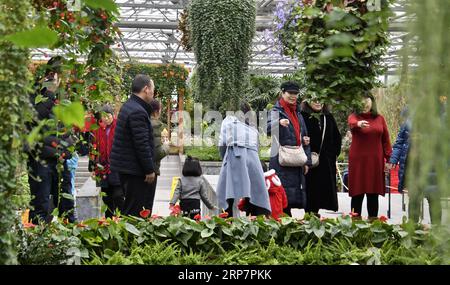 (190210) -- BEIJING, 10 février 2019 (Xinhua) -- les gens visitent le jardin des fleurs du monde de Beijing dans le district de Fengtai à Beijing, capitale de la Chine, le 10 février 2019, dernier jour de la fête du printemps. (Xinhua/Li Xin) CHINE-PÉKIN-FLEURS-VACANCES (CN) PUBLICATIONxNOTxINxCHN Banque D'Images