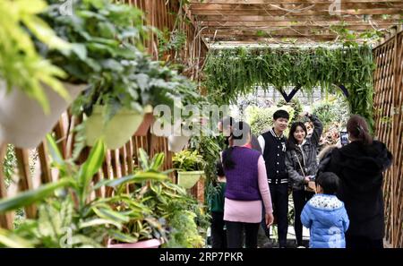 (190210) -- BEIJING, 10 février 2019 (Xinhua) -- les gens visitent le jardin des fleurs du monde de Beijing dans le district de Fengtai à Beijing, capitale de la Chine, le 10 février 2019, dernier jour de la fête du printemps. (Xinhua/Li Xin) CHINE-PÉKIN-FLEURS-VACANCES (CN) PUBLICATIONxNOTxINxCHN Banque D'Images