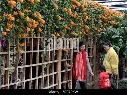 (190210) -- BEIJING, 10 février 2019 (Xinhua) -- les gens visitent le jardin des fleurs du monde de Beijing dans le district de Fengtai à Beijing, capitale de la Chine, le 10 février 2019, dernier jour de la fête du printemps. (Xinhua/Li Xin) CHINE-PÉKIN-FLEURS-VACANCES (CN) PUBLICATIONxNOTxINxCHN Banque D'Images