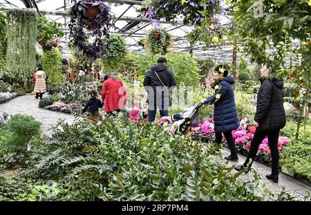 (190210) -- BEIJING, 10 février 2019 (Xinhua) -- les gens visitent le jardin des fleurs du monde de Beijing dans le district de Fengtai à Beijing, capitale de la Chine, le 10 février 2019, dernier jour de la fête du printemps. (Xinhua/Li Xin) CHINE-PÉKIN-FLEURS-VACANCES (CN) PUBLICATIONxNOTxINxCHN Banque D'Images