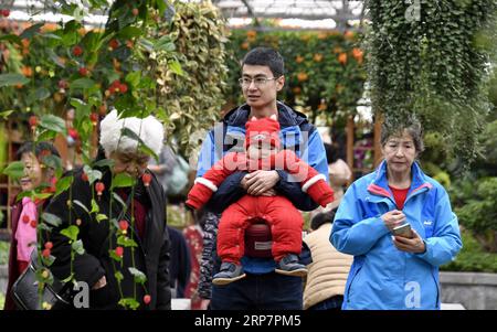 (190210) -- BEIJING, 10 février 2019 (Xinhua) -- les gens visitent le jardin des fleurs du monde de Beijing dans le district de Fengtai à Beijing, capitale de la Chine, le 10 février 2019, dernier jour de la fête du printemps. (Xinhua/Li Xin) CHINE-PÉKIN-FLEURS-VACANCES (CN) PUBLICATIONxNOTxINxCHN Banque D'Images