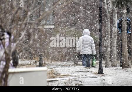 (190212) -- BEIJING, 12 février 2019 (Xinhua) -- Un citoyen marche dans la neige à Beijing, capitale de la Chine, le 12 février 2019. Une chute de neige a frappé Pékin mardi. (Xinhua/Li Xin) CHINE-PÉKIN-NEIGE (CN) PUBLICATIONxNOTxINxCHN Banque D'Images