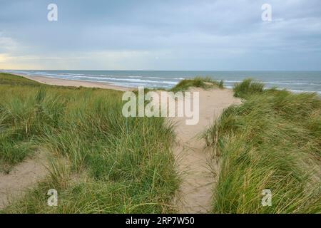 Sentier pédestre, dune de sable, Mer, herbe Marram, nuage, Zandvoort, Mer du Nord, Hollande du Nord, pays-Bas Banque D'Images