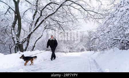 (190214) -- MOSCOU, 14 février 2019 (Xinhua) -- Un homme marche avec son chien dans le parc Kolomenskoïe à Moscou, Russie, le 13 février 2019. Le parc Kolomenskoïe, un ancien domaine royal situé au sud-est de la ville de Moscou, abrite l'église de l'Ascension construite en 1532. (Xinhua/Bai Xueqi) RUSSIE-MOSCOU-PARC DANS LA NEIGE PUBLICATIONxNOTxINxCHN Banque D'Images