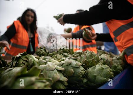 (190214) -- ATHÈNES, 14 février 2019 -- des bénévoles de l'organisation à but non lucratif Boroume collectent des artichauts sur un marché de rue dans la municipalité de Chalandri, une banlieue nord d'Athènes, Grèce, le 12 février 2019. Boroume (ce qui signifie que nous pouvons en grec) a été créé en tant qu'organisation à but non lucratif en janvier 2012. En sept ans, il a aidé à sauver et à offrir aux nécessiteux au moins 29 millions de portions de nourriture et continue de travailler sans arrêt chaque jour dans cette direction, membre fondateur Alexandros Theodoridis a déclaré à Xinhua le 12 février.) POUR ALLER AVEC la caractéristique : une ONG grecque lutte toujours contre le gaspillage alimentaire, la malnutrition, le bridgi Banque D'Images