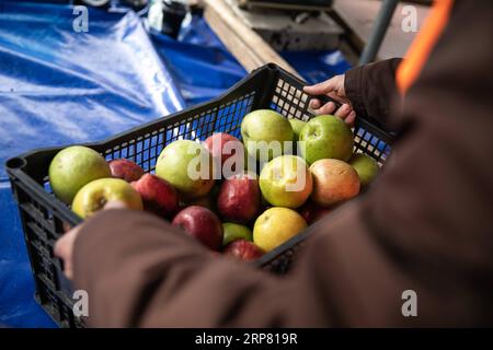 (190214) -- ATHÈNES, 14 février 2019 -- des bénévoles de l'organisation à but non lucratif Boroume collectent des pommes sur un marché de rue dans la municipalité de Chalandri, une banlieue nord d'Athènes, Grèce, le 12 février 2019. Boroume (ce qui signifie que nous pouvons en grec) a été créé en tant qu'organisation à but non lucratif en janvier 2012. En sept ans, il a aidé à sauver et à offrir aux nécessiteux au moins 29 millions de portions de nourriture et continue de travailler sans arrêt chaque jour dans cette direction, membre fondateur Alexandros Theodoridis a déclaré à Xinhua le 12 février.) POUR ALLER AVEC la fonctionnalité : ONG grecque lutte toujours contre le gaspillage alimentaire, la malnutrition, le pontage d Banque D'Images