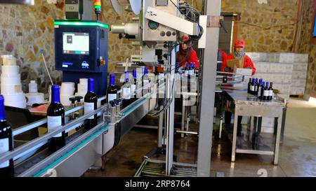 (190220) -- ROMMANI, 20 février 2019 -- une photo prise le 8 février 2019 montre une chaîne de production de la société agricole marocaine Red Farm à Rommani, Maroc. La participation de l entreprise agricole marocaine Red Farm à la première China International Import Expo (CIIE) commence à porter ses fruits. Son directeur général Mamoun Sayah a déclaré à Xinhua qu'il retournerait en Chine fin février pour choisir un importateur exclusif pour les vins de son entreprise sur le marché chinois. POUR ALLER AVEC caractéristique : cave marocaine frappe à la porte du gigantesque marché chinois Chen Binjie) MAROC-ROMMANI-WINERY-MARCHÉ CHINOIS Banque D'Images