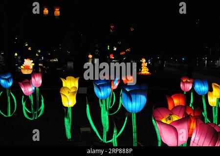 (190221) -- CHRISTCHURCH, 21 février 2019 (Xinhua) -- une photo prise le 21 février 2019 montre un spectacle de lanternes pour célébrer le festival des lanternes chinoises à Christchurch, Nouvelle-Zélande, le 21 février 2019. (Xinhua/Li Qiaoqiao) NOUVELLE-ZÉLANDE-CHRISTCHURCH-CHINESE LANTERN FESTIVAL PUBLICATIONxNOTxINxCHN Banque D'Images