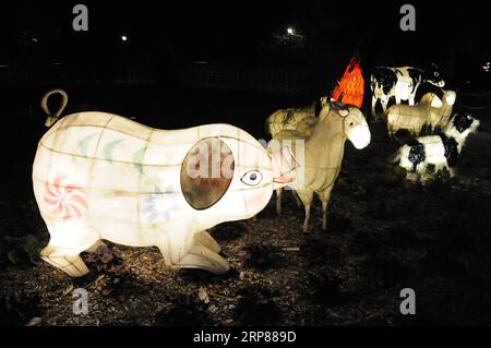 (190221) -- CHRISTCHURCH, 21 février 2019 (Xinhua) -- une photo prise le 21 février 2019 montre un spectacle de lanternes pour célébrer le festival des lanternes chinoises à Christchurch, Nouvelle-Zélande, le 21 février 2019. (Xinhua/Li Qiaoqiao) NOUVELLE-ZÉLANDE-CHRISTCHURCH-CHINESE LANTERN FESTIVAL PUBLICATIONxNOTxINxCHN Banque D'Images