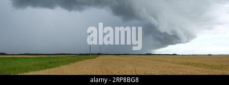 Grande image panoramique du système de tempête de temps violent en Alberta, Canada. Banque D'Images