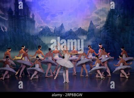 (190226) -- FRANCFORT, 26 février 2019 (Xinhua) -- le spectacle de ballet le lac des cygnes est présenté par le théâtre russe la couronne du ballet russe à Jahrhunderthalle à Francfort, Allemagne, le 25 février 2019. (Xinhua/lu Yang) ALLEMAGNE-FRANCFORT-BALLET LAC DES CYGNES PUBLICATIONxNOTxINxCHN Banque D'Images