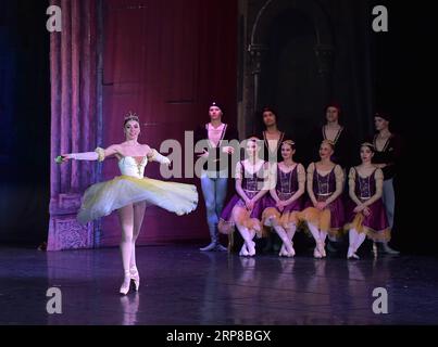 (190226) -- FRANCFORT, 26 février 2019 (Xinhua) -- le spectacle de ballet le lac des cygnes est présenté par le théâtre russe la couronne du ballet russe à Jahrhunderthalle à Francfort, Allemagne, le 25 février 2019. (Xinhua/lu Yang) ALLEMAGNE-FRANCFORT-BALLET LAC DES CYGNES PUBLICATIONxNOTxINxCHN Banque D'Images