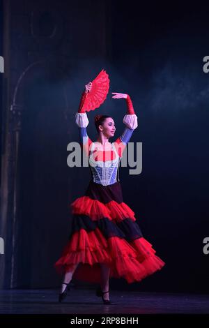 (190226) -- FRANCFORT, 26 février 2019 (Xinhua) -- le spectacle de ballet le lac des cygnes est présenté par le théâtre russe la couronne du ballet russe à Jahrhunderthalle à Francfort, Allemagne, le 25 février 2019. (Xinhua/lu Yang) ALLEMAGNE-FRANCFORT-BALLET LAC DES CYGNES PUBLICATIONxNOTxINxCHN Banque D'Images