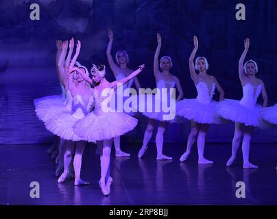 (190226) -- FRANCFORT, 26 février 2019 (Xinhua) -- le spectacle de ballet le lac des cygnes est présenté par le théâtre russe la couronne du ballet russe à Jahrhunderthalle à Francfort, Allemagne, le 25 février 2019. (Xinhua/lu Yang) ALLEMAGNE-FRANCFORT-BALLET LAC DES CYGNES PUBLICATIONxNOTxINxCHN Banque D'Images