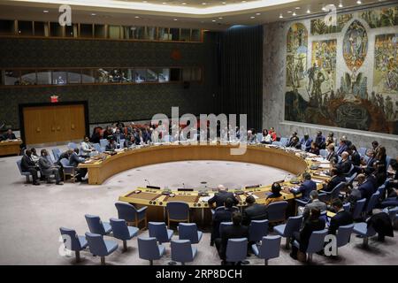 (190228) -- NATIONS UNIES, 28 février 2019 (Xinhua) -- une photo prise le 28 février 2019 montre que le Conseil de sécurité des Nations Unies tient une réunion sur le Bureau intégré des Nations Unies pour la consolidation de la paix en Guinée-Bissau (BINUGBIS) au siège des Nations Unies à New York. Le Conseil de sécurité a adopté jeudi une résolution renouvelant pour un an le mandat du Bureau intégré des Nations Unies pour la consolidation de la paix en Guinée-Bissau (BINUGBIS). (Xinhua/Li Muzi) CONSEIL DE SÉCURITÉ-GUINÉE-BISSAU PUBLICATIONxNOTxINxCHN Banque D'Images