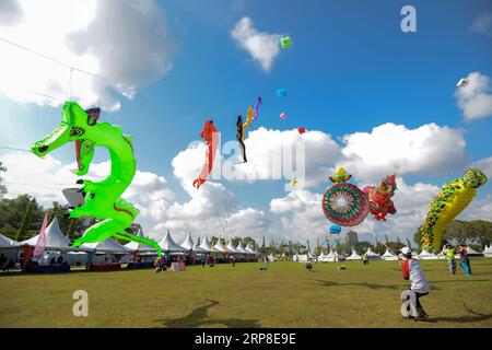 (190302) -- JOHOR BAHRU, le 2 mars 2019 -- divers cerfs-volent dans le ciel lors du 24e Festival mondial du cerf-volant de Pasir Gudang à Pasir Gudang, État de Johor, Malaisie, le 1 mars 2019. Des participants de plus de 40 pays et régions ont participé aux compétitions de cerf-volant et au spectacle pendant les cinq jours du festival. MALAISIE-PASIR GUDANG-KITE FESTIVAL ChongxVoonxChung PUBLICATIONxNOTxINxCHN Banque D'Images