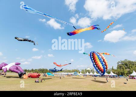 (190302) -- JOHOR BAHRU, le 2 mars 2019 -- divers cerfs-volent dans le ciel lors du 24e Festival mondial du cerf-volant de Pasir Gudang à Pasir Gudang, État de Johor, Malaisie, le 1 mars 2019. Des participants de plus de 40 pays et régions ont participé aux compétitions de cerf-volant et au spectacle pendant les cinq jours du festival. Zhu Wei) MALAYSIA-PASIR GUDANG-KITE FESTIVAL ChongxVoonxChung PUBLICATIONxNOTxINxCHN Banque D'Images