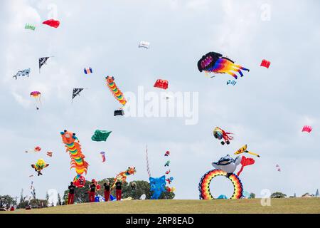 (190302) -- JOHOR BAHRU, le 2 mars 2019 -- divers cerfs-volent dans le ciel lors du 24e Festival mondial du cerf-volant de Pasir Gudang à Pasir Gudang, État de Johor, Malaisie, le 1 mars 2019. Des participants de plus de 40 pays et régions ont participé aux compétitions de cerf-volant et au spectacle pendant les cinq jours du festival. Zhu Wei) MALAYSIA-PASIR GUDANG-KITE FESTIVAL ChongxVoonxChung PUBLICATIONxNOTxINxCHN Banque D'Images