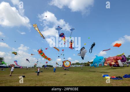 (190302) -- JOHOR BAHRU, le 2 mars 2019 -- divers cerfs-volent dans le ciel lors du 24e Festival mondial du cerf-volant de Pasir Gudang à Pasir Gudang, État de Johor, Malaisie, le 1 mars 2019. Des participants de plus de 40 pays et régions ont participé aux compétitions de cerf-volant et au spectacle pendant les cinq jours du festival. MALAISIE-PASIR GUDANG-KITE FESTIVAL ChongxVoonxChung PUBLICATIONxNOTxINxCHN Banque D'Images