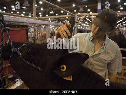 (190312) -- HOUSTON, le 12 mars 2019 -- Un adolescent se rase la tête au Houston Livestock Show and Rodeo à Houston, Texas, États-Unis, le 11 mars 2019. De nombreux parents ont emmené leurs enfants à l'événement lundi, le premier jour de la pause de printemps. Le Houston Livestock Show and Rodeo annuel, qui a débuté le 25 février de cette année, se tiendra jusqu'au 17 mars. ) US-HOUSTON-SPECTACLE DE BÉTAIL ET RODEO Yi-ChinxLee PUBLICATIONxNOTxINxCHN Banque D'Images