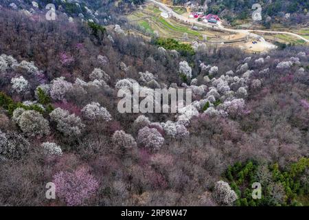 (190316) -- PÉKIN, 16 mars 2019 (Xinhua) -- une photo prise le 14 mars 2019 montre une vue dans le canton de Tiechong, dans le comté de Jinzhai, province de l'Anhui dans l'est de la Chine. (Xinhua/Wang Wen) PHOTOS XINHUA DU JOUR PUBLICATIONxNOTxINxCHN Banque D'Images