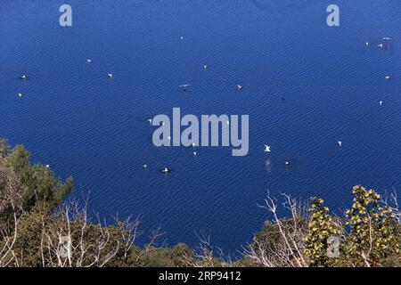 (190322) -- ATHÈNES, le 22 mars 2019 -- la photo prise le 20 mars 2019 montre une vue du lac Marathon dans la région de l'Attique orientale, en Grèce. Marathon Lake est l'un des principaux réservoirs d'approvisionnement en eau d'Athènes. Pour aller avec caractéristique : la qualité de l'eau du robinet de la Grèce reste excellente après huit ans de programme de sauvetage ) GRÈCE-ATHÈNES-JOURNÉE MONDIALE DE L'EAU-MARATHON LAC MariosxLolos PUBLICATIONxNOTxINxCHN Banque D'Images