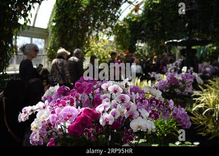 (190325) -- NEW YORK, 25 mars 2019 (Xinhua) -- les gens visitent le spectacle des orchidées au jardin botanique de New York (NYBG) à New York, aux États-Unis, le 24 mars 2019. L'Orchid Show sur le thème de Singapour présente les trésors de la collection exquise d'orchidées de NYBG ainsi que les réalisations de Singapour dans la culture, la recherche et la conservation des orchidées. (Xinhua/Han Fang) États-Unis-NEW YORK-JARDIN BOTANIQUE-ORCHIDÉE SHOW PUBLICATIONxNOTxINxCHN Banque D'Images