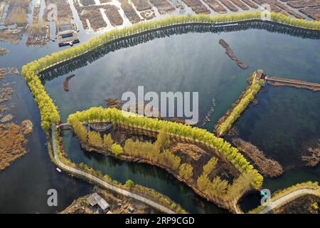 (190402) -- XIONG AN, 2 avril 2019 (Xinhua) -- une photo aérienne prise le 31 mars 2019 montre le lac Baiyangdian dans la nouvelle région de Xiongan, dans la province du Hebei du nord de la Chine. Le 1 avril 2017, la Chine annonce son intention d'établir la nouvelle zone de Xiongan, à environ 100 km au sud-ouest de Pékin. Connue sous le nom de ville du futur de la Chine , Xiongan a été conçue pour devenir une zone d'innovation, une ville numérique synchronisée avec une ville de brique et de mortier, et une zone habitable et propice aux affaires. (Xinhua/Zhu Xudong) CHINE-XIONGAN NOUVELLE ZONE-ANNIVERSAIRE-VUE AÉRIENNE (CN) PUBLICATIONxNOTxINxCHN Banque D'Images