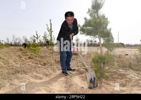 (190407) -- YULIN, 7 avril 2019 (Xinhua) -- Un agriculteur plante du pin sylvestre de Mongolie dans le village maotuan du comté de Jingbian, dans la ville de Yulin, dans le nord-ouest de la province du Shaanxi, le 5 avril 2019. Le taux de couverture forestière à Yulin, qui a souffert de graves érosion des sols et de la désertification, a atteint 33 pour cent grâce aux efforts de boisement des 60 dernières années, avec pour résultat que 93,24 pour cent environ des terres désertifiées ont été maîtrisées. La ville plantera 690 000 mu (environ 46 000 hectares) d’arbres en 2019. (Xinhua/Liu Xiao) CHINA-SHAANXI-YULIN-AFFORESTATION (CN) PUBLICATIONxNOTxINxCHN Banque D'Images