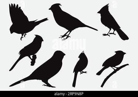 Collection gracieuse de silhouettes cardinales du Nord, oiseaux dans diverses poses et styles Illustration de Vecteur