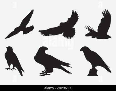 Silhouettes élégantes de Falcon, Majestic Birds of Prey dans Artful Shadows - Vector Set Illustration de Vecteur