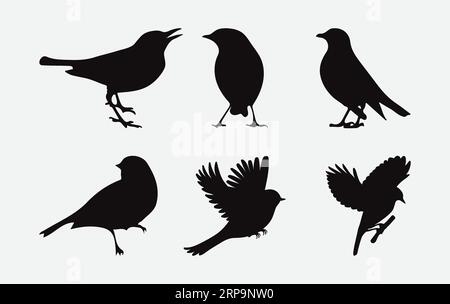 Collection exquise de silhouettes artistiques Robin Bird, des rendus aviens détaillés et variés pour vos projets créatifs Illustration de Vecteur