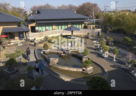 (190416) -- SAITAMA, 16 avril 2019 (Xinhua) -- visite du musée d'art Omiya Bonsai à Saitama, Japon, le 13 avril 2019. Le musée d'art Omiya Bonsai a ouvert ses portes au public en 2010, exposant plus de 100 chefs-d'œuvre. (Xinhua/du Xiaoyi) JAPAN-SAITAMA-BONSAI ART MUSEUM PUBLICATIONxNOTxINxCHN Banque D'Images