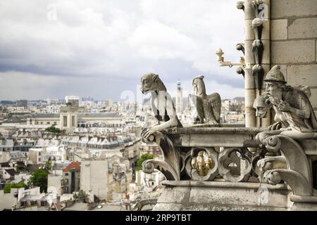 (190416) -- PARIS, 16 avril 2019 (Xinhua) -- une photo prise le 30 juin 2017 montre des sculptures sur le toit de la cathédrale notre-Dame de Paris, France. L'incendie dévastateur de la cathédrale notre-Dame dans le centre de Paris a été éteint après avoir brûlé pendant 15 heures, ont rapporté les médias locaux le 16 avril 2019. En début de soirée le 15 avril, un incendie éclate dans la célèbre cathédrale. Des images en ligne montraient une épaisse fumée s'accumulant du haut de la cathédrale et d'énormes flammes entre ses deux clochers engloutissant la flèche et le toit entier qui se sont tous deux effondrés plus tard. Notre Dame est considérée comme l'une des amendes Banque D'Images