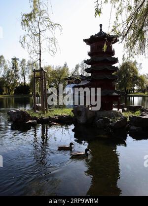 (190418) -- BERLIN, 18 avril 2019 (Xinhua) -- une photo prise le 17 avril 2019 montre deux canards sauvages sur le lac du jardin chinois Deyue des Jardins du monde dans l'est de Berlin, en Allemagne. Le jardin chinois Deyue à l'intérieur des Jardins du monde a été construit pour la première fois en 1997 et ouvert au public en 2000. (Xinhua/Shan Yuqi) ALLEMAGNE-BERLIN-JARDINS DU MONDE-JARDIN CHINOIS PUBLICATIONxNOTxINxCHN Banque D'Images