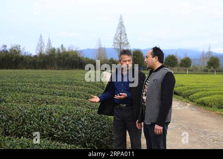 (190420) -- WUYISHAN, 20 avril 2019 (Xinhua) -- le conseiller technologique Zhang Xiyou (R) est consulté par un agriculteur dans un jardin de thé à Xingcun, ville de Wuyishan, province du Fujian, dans le sud-est de la Chine, le 26 mars 2019. (Xinhua/an Xiya) Xinhua titres : les conseillers en technologie aident à la réduction de la pauvreté PUBLICATIONxNOTxINxCHN Banque D'Images