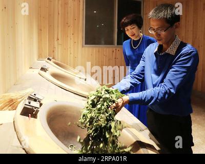 (190420) -- WUYISHAN, 20 avril 2019 () -- cette photo non datée montre le conseiller en technologie Liu Guoying démontrant la fabrication du thé de roche Wuyi à Wuyishan, dans la province du Fujian du sud-est de la Chine. () titres : les conseillers technologiques aident à la réduction de la pauvreté Xinhua PUBLICATIONxNOTxINxCHN Banque D'Images