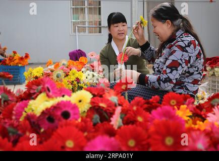 (190420) -- WUYISHAN, 20 avril 2019 (Xinhua) -- Chen Guirong (à gauche), conseiller technologique, s'entretient avec un agriculteur du district de Jianyang à Nanping, dans la province du Fujian du sud-est de la Chine, le 28 mars 2019. (Xinhua/an Xiya) Xinhua titres : les conseillers en technologie aident à la réduction de la pauvreté PUBLICATIONxNOTxINxCHN Banque D'Images