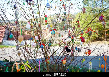 (190422) -- PRAGUE, le 22 avril 2019 -- des œufs de Pâques peints à la main sont accrochés à l'arbre pour la célébration de Pâques à Prague, République tchèque, le 22 avril 2019.) RÉPUBLIQUE TCHÈQUE-PRAGUE-LUNDI DE PÂQUES-CÉLÉBRATION DANAXKESNEROVA PUBLICATIONXNOTXINXCHN Banque D'Images