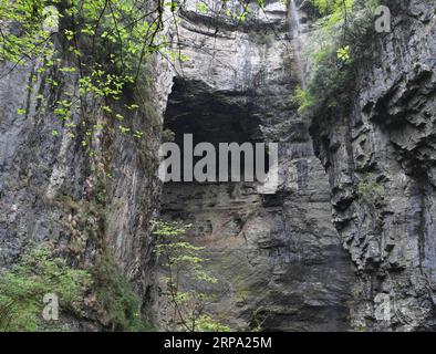 (190422) -- NINGQIANG, 22 avril 2019 (Xinhua) -- une photo prise le 22 avril 2019 montre les rochers de Didonghe Tiankeng, un gouffre karstique géant dans le village Huoshizi du comté de Ningqiang à Hanzhong, dans le nord-ouest de la Chine, province du Shaanxi. Avec une profondeur maximale de 340 mètres, le Didonghe Tiankeng est le plus grand du groupe Chanjiayan Tiankeng dans le comté de Ningqiang. (Xinhua/Zhang Bowen) CHINA-SHAANXI-HANZHONG-KARST SINKHOLE PUBLICATIONxNOTxINxCHN Banque D'Images