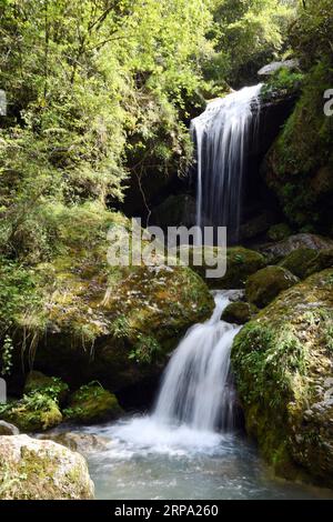 (190422) -- NINGQIANG, 22 avril 2019 (Xinhua) -- une photo prise le 22 avril 2019 montre une chute d'eau à Didonghe Tiankeng, un gouffre karstique géant dans le village Huoshizi du comté de Ningqiang à Hanzhong, dans la province du Shaanxi au nord-ouest de la Chine. Avec une profondeur maximale de 340 mètres, le Didonghe Tiankeng est le plus grand du groupe Chanjiayan Tiankeng dans le comté de Ningqiang. (Xinhua/Zhang Bowen) CHINA-SHAANXI-HANZHONG-KARST SINKHOLE PUBLICATIONxNOTxINxCHN Banque D'Images