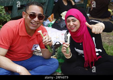 (190429) -- LE CAIRE, le 29 avril 2019 -- les gens pique-niquent pendant le Sham el-Nessim, une fête traditionnelle égyptienne marquant le début du printemps, au Caire, en Égypte, le 29 avril 2019. Les Égyptiens ont célébré lundi Sham el-Nessim, une fête égyptienne traditionnelle marquant le début du printemps. EGYPT-CAIRO-SHAM EL-NESSIM AhmedxGomaa PUBLICATIONxNOTxINxCHN Banque D'Images