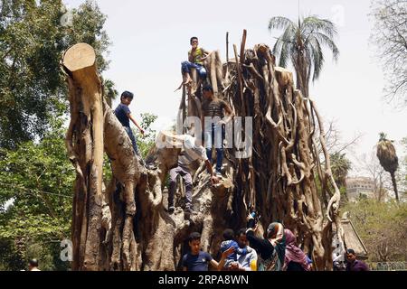 (190429) -- LE CAIRE, le 29 avril 2019 -- les gens célèbrent le Sham el-Nessim, une fête traditionnelle égyptienne marquant le début du printemps, au Caire, en Égypte, le 29 avril 2019. Les Égyptiens ont célébré lundi Sham el-Nessim, une fête égyptienne traditionnelle marquant le début du printemps. EGYPT-CAIRO-SHAM EL-NESSIM AhmedxGomaa PUBLICATIONxNOTxINxCHN Banque D'Images