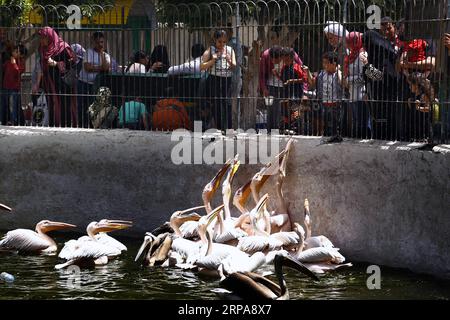 (190429) -- LE CAIRE, le 29 avril 2019 -- les gens se rassemblent dans un zoo pendant le Sham el-Nessim, une fête traditionnelle égyptienne marquant le début du printemps, au Caire, en Égypte, le 29 avril 2019. Les Égyptiens ont célébré lundi Sham el-Nessim, une fête égyptienne traditionnelle marquant le début du printemps. EGYPT-CAIRO-SHAM EL-NESSIM AhmedxGomaa PUBLICATIONxNOTxINxCHN Banque D'Images