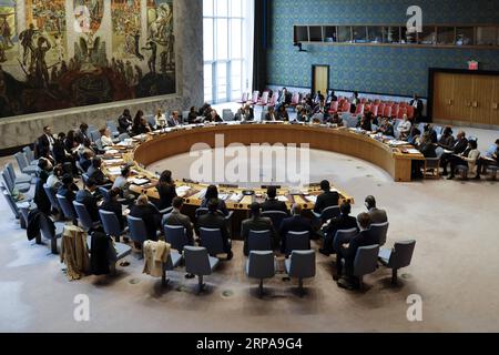 (190430) -- NATIONS UNIES, 30 avril 2019 -- une photo prise le 30 avril 2019 montre la réunion du Conseil de sécurité des Nations Unies sur la situation au Soudan et au Soudan du Sud, y compris la situation à Abyei, au siège des Nations Unies à New York.) RÉUNION DU CONSEIL DE SÉCURITÉ-SOUDAN ET SOUDAN DU SUD-ABYEI LIXMUZI PUBLICATIONXNOTXINXCHN Banque D'Images