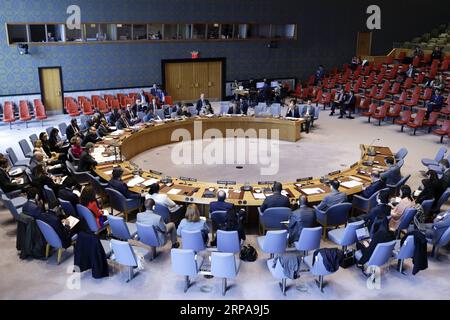 (190430) -- NATIONS UNIES, le 30 avril 2019 -- Une réunion du Conseil de sécurité des Nations Unies sur la situation en Syrie se tient au siège des Nations Unies à New York, le 30 avril 2019. L'envoyé spécial des Nations Unies pour la Syrie, Geir Pedersen, a exprimé mardi un optimisme prudent quant aux perspectives du processus politique en Syrie. RÉUNION-CONSEIL DE SÉCURITÉ-SYRIE LixMuzi PUBLICATIONxNOTxINxCHN Banque D'Images