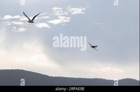 (190507) -- SYDNEY, le 7 mai 2019 -- un avion se produit pendant le Wings over Illawarra Airshow à l'aéroport d'Illawarra, à environ 100 km au sud de Sydney, en Australie, le 5 mai 2019. Des pilotes de cascadeurs défiant la mort, des technologies aéronautiques de pointe et une gamme de chasseurs classiques de la Seconde Guerre mondiale sont quelques-uns des éléments exposés lors de l'un des plus grands spectacles aériens australiens. POUR ALLER AVEC caractéristique : pilotes de cascadeurs, jets militaires, warbirds classiques seront exposés à Aussie Airshow ) AUSTRALIA-SYDNEY-AIRSHOW BaixXuefei PUBLICATIONxNOTxINxCHN Banque D'Images