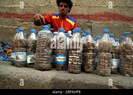 (190511) -- SANAA, 11 mai 2019 -- des criquets sont vendus comme nourriture à Sanaa, Yémen, le 11 mai 2019. Le ministère yéménite de l'Agriculture et de l'irrigation a mis en garde le 5 mai contre les effets négatifs des essaims de criquets pèlerins, qui ont causé de lourdes pertes sur les cultures et ont constitué une menace pour la sécurité alimentaire du Yémen. YÉMEN-SANAA-CRIQUETS-MENACE MohammedxMohammed PUBLICATIONxNOTxINxCHN Banque D'Images